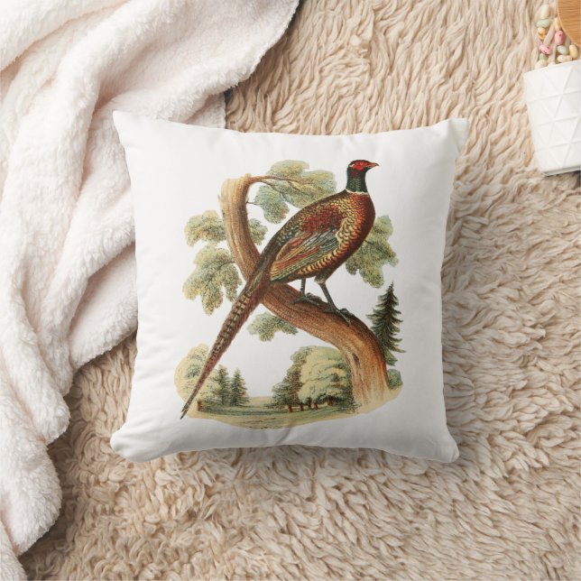 Coussin Faisan ancien sur une branche avec dessin en coule (Couverture)
