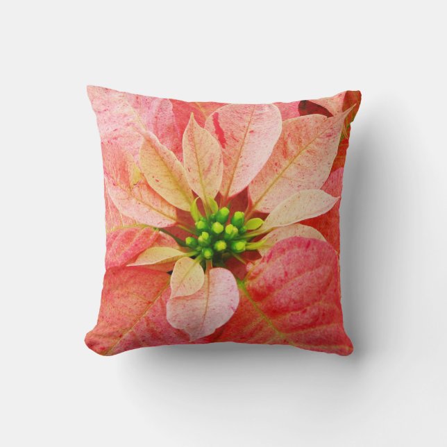 Coussin fait sur commande de poinsettia rose (Recto)