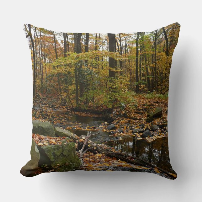 Coussin Fall Creek avec réflexion à Laurel Hill Park (Recto)