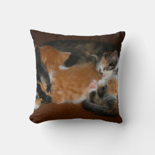 Coussin Famille de chatons endormis