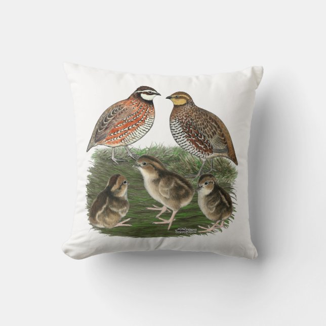 Coussin Famille de Colin de Virginie (Recto)