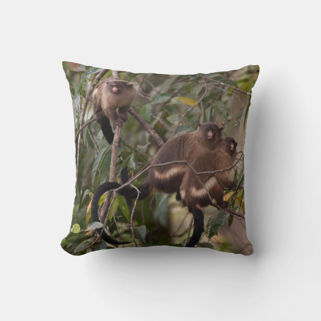 Coussin Famille de marmousets singes (Recto)