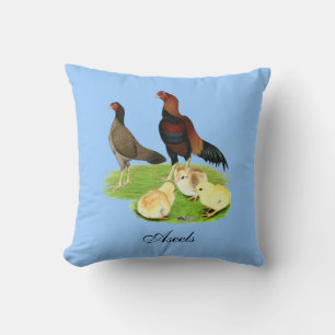 Coussin Famille de poulets Aseel Wheaten