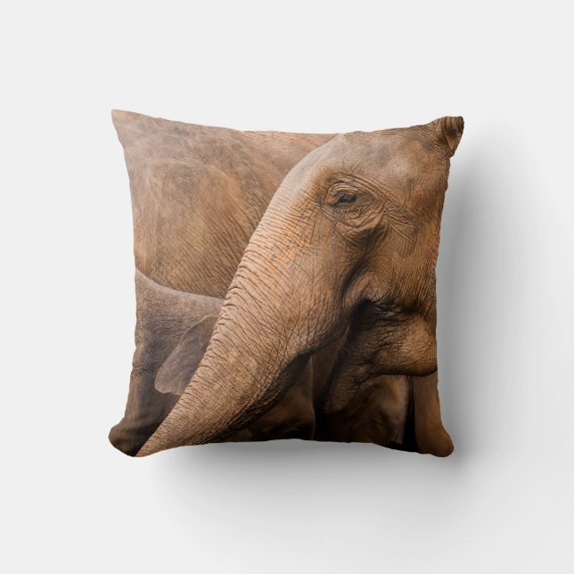 Coussin Famille des éléphants : Faune majestueuse (Recto)