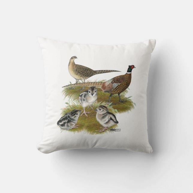 Coussin Famille du Faisan à collier (Recto)