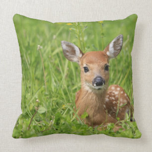 Coussin Faon