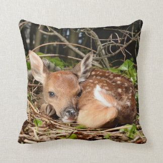 COUSSIN FAON DE REPOS