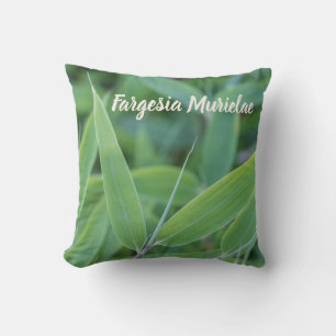 Coussin Fargesia murielae Bamboo plante pour jardiniers ca