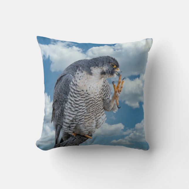 Coussin Faucon pèlerin le long de la rivière Hudson (Recto)