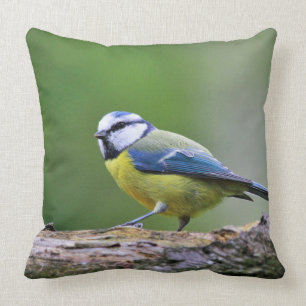 Coussin Faune d'animaux d'oiseau de mésange bleue