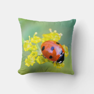 Coussin femme au sommet