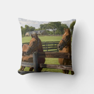 Coussin Ferme de chevaux pur-sang dans le comté de Marion,