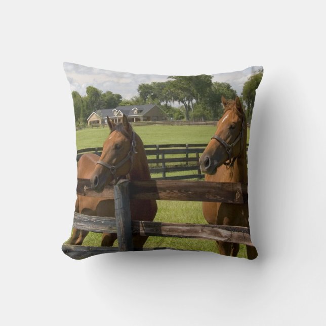 Coussin Ferme de chevaux pur-sang dans le comté de Marion, (Recto)