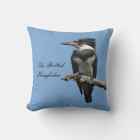 Fermeture de Belt Kingfisher
