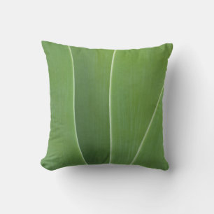 Coussin Fermeture du Plante d'agave