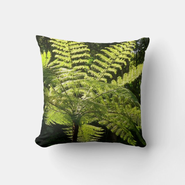 Coussin Ferne arborescente dans la forêt tropicale (Recto)