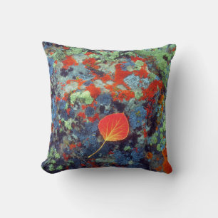 Coussin Feuille de tremble sur une roche couverte de liche