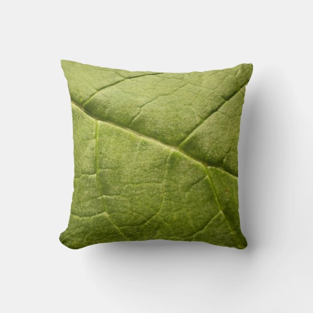 Coussin Feuille verte de Rhubarbe biologique (Recto)