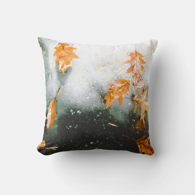 COUSSIN FEUILLES BROWN EN VERRE (Recto)