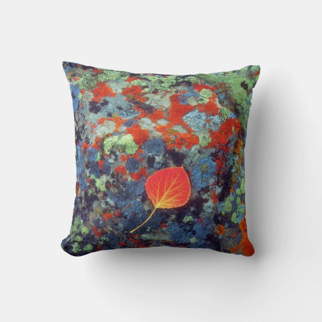 Coussin Feuilles d'Aspen sur un rocher recouvert de lichen (Recto)