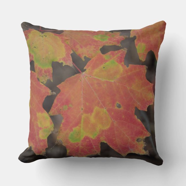 Coussin Feuilles d'automne (Recto)