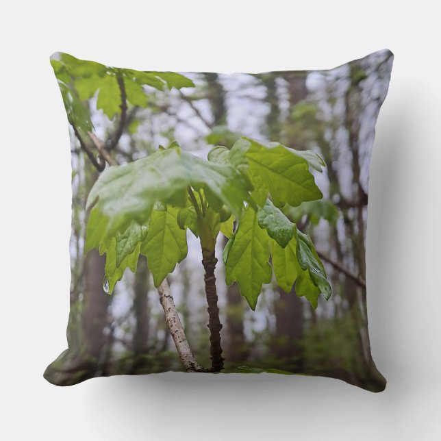 Coussin Feuilles de forêt après la pluie – Wild Nature Rou (Recto)