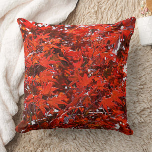 Coussin Feuilles japonais de l'érable rouge