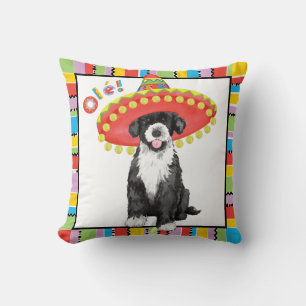 Coussin Fiesta PWD