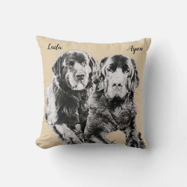 Coussin Filles de Laila et d'Aspen Terre-Neuve (Recto)