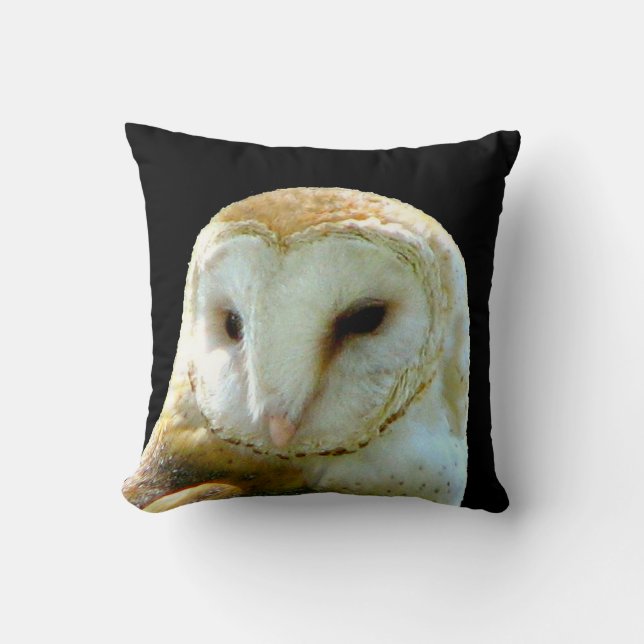 Coussin Fin de hibou de grange (Recto)