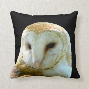 Coussin Fin de hibou de grange