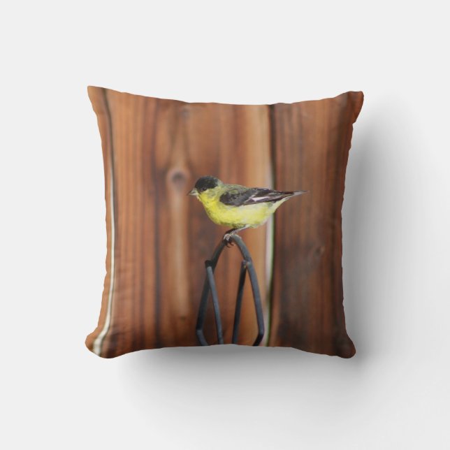 Coussin Finch or et vieille clôture en bois (Recto)