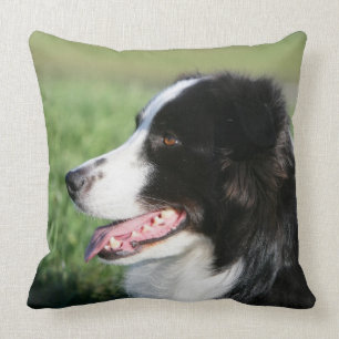 Coussin Fixation de chiot de border collie