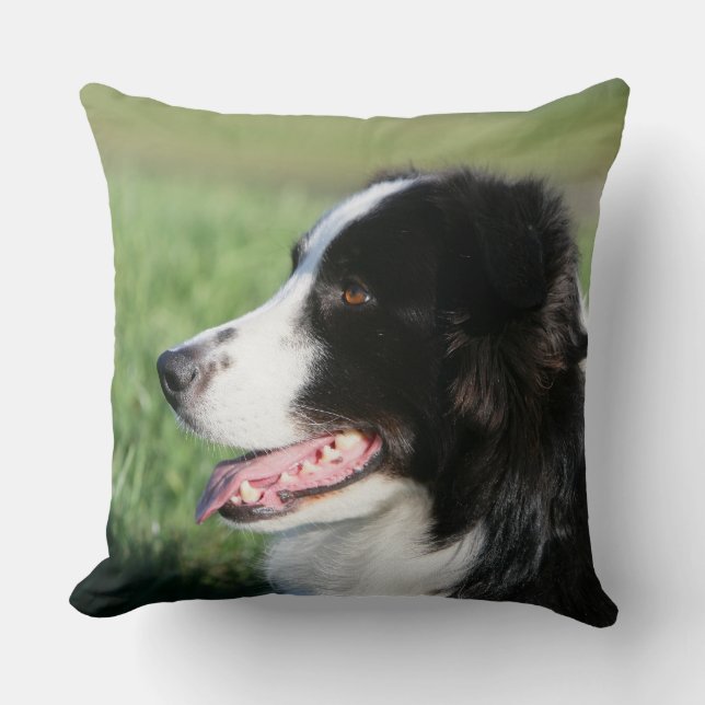 Coussin Fixation de chiot de border collie (Recto)
