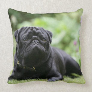 Coussin Fixation noire de carlin