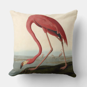 Coussin Flamant rose américain d'Audubon