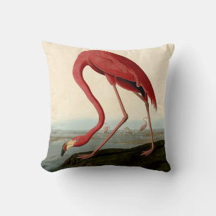 Coussin Flamant rose américain d'Audubon