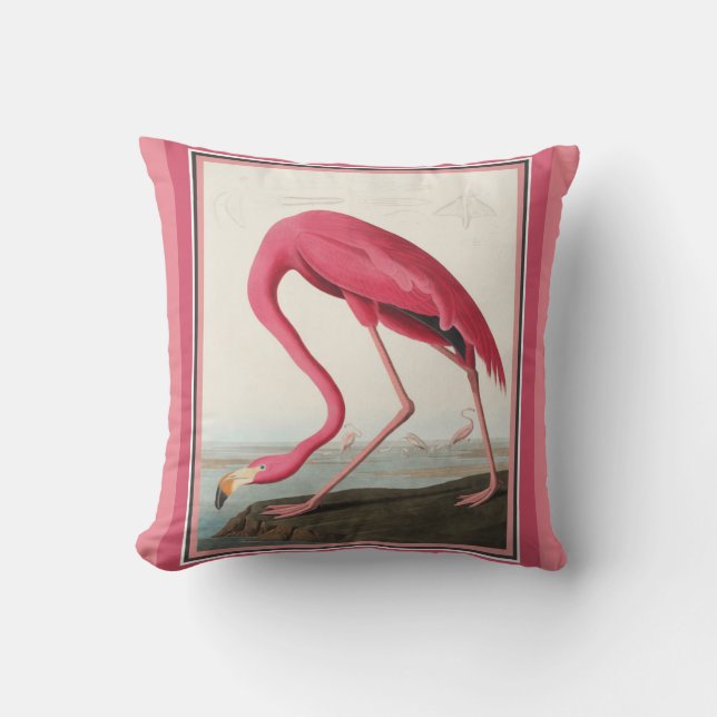 Coussin Flamant rose américain d'Audubon (Recto)
