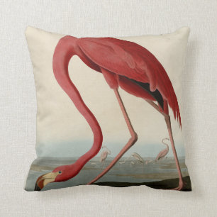 Coussin Flamant rose américain d'Audubon's Birds of Americ