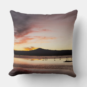Coussin Flamant rose chilien