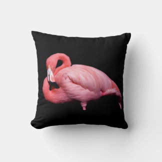 Coussin Flamant Rose sur Fond Noir