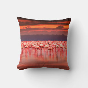 Coussin Flamants africains dans le lac sur le beau soleil