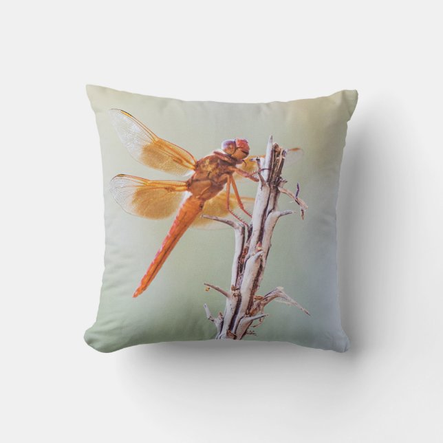 Coussin Flame Skimmer Dragonfly sur Agave (Recto)