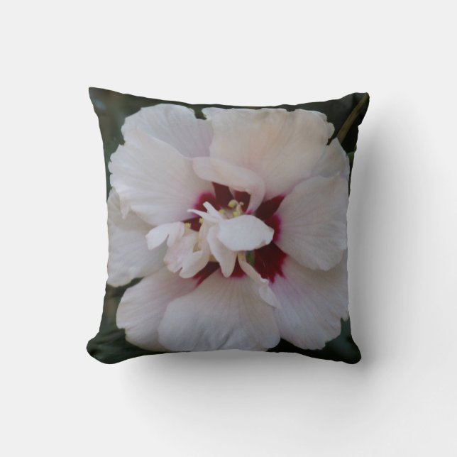 Coussin Fleur blanche (Recto)