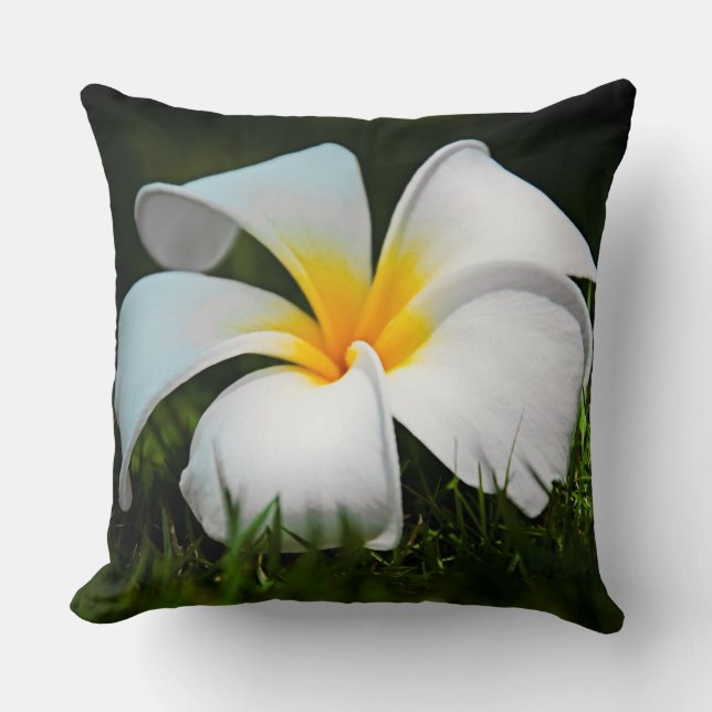 Coussin Fleur blanche d'Hawaï de Frangipani de Plumeria (Recto)