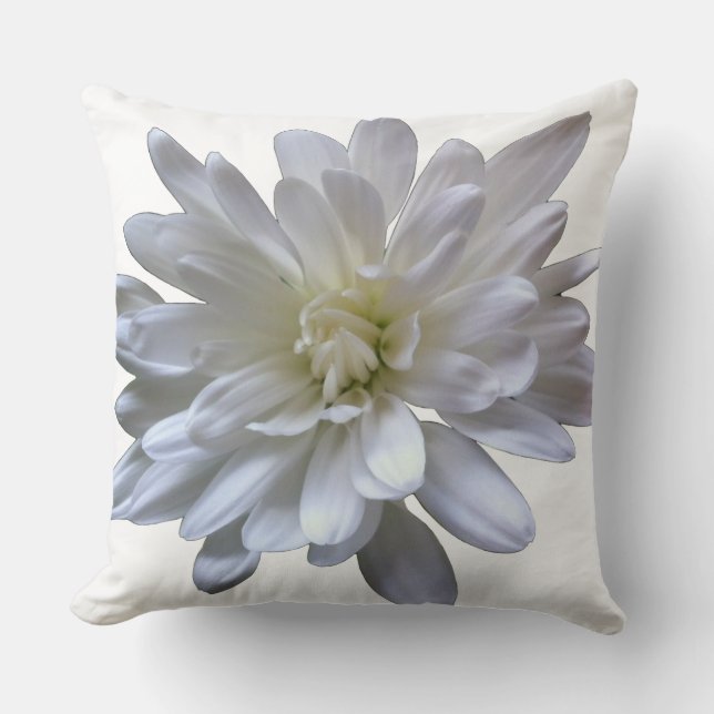 Coussin Fleur blanche florale marguerite blanche chrysanth (Recto)