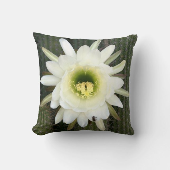 Coussin Fleur de cactus Reine de la Nuit, région du Karoo (Recto)