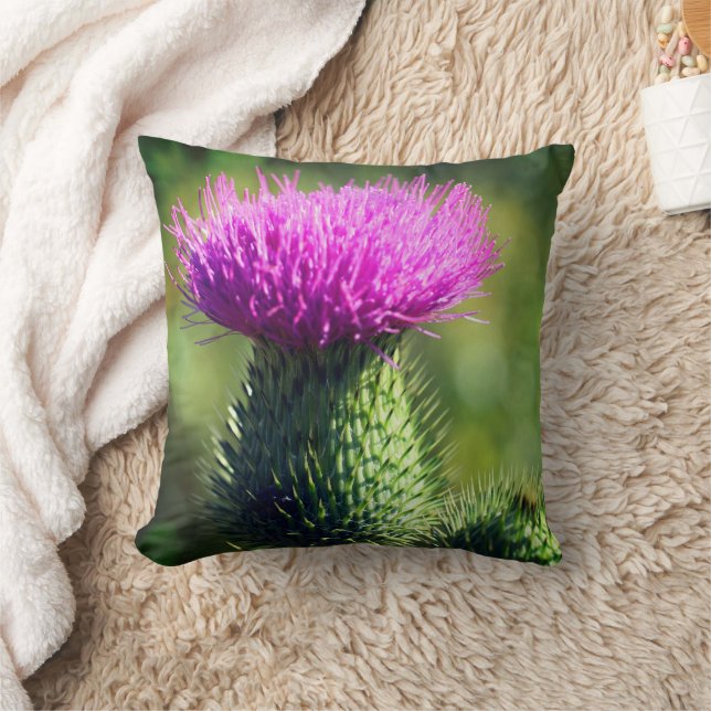 Coussin Fleur de chardon violet (Couverture)