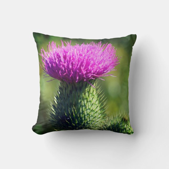 Coussin Fleur de chardon violet (Recto)