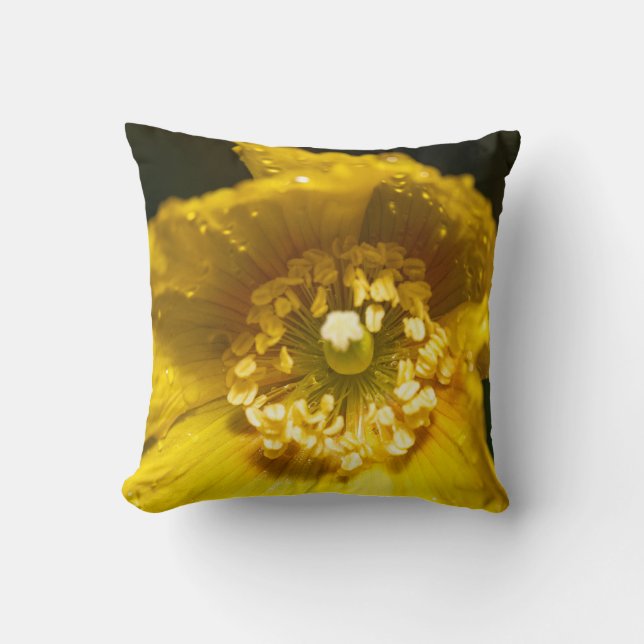 Coussin Fleur de crapaud jaune (Recto)